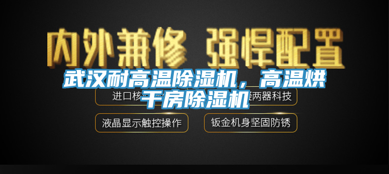 武漢耐高溫除濕機，高溫烘干房除濕機