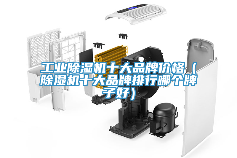 工業(yè)除濕機(jī)十大品牌價(jià)格（除濕機(jī)十大品牌排行哪個(gè)牌子好）