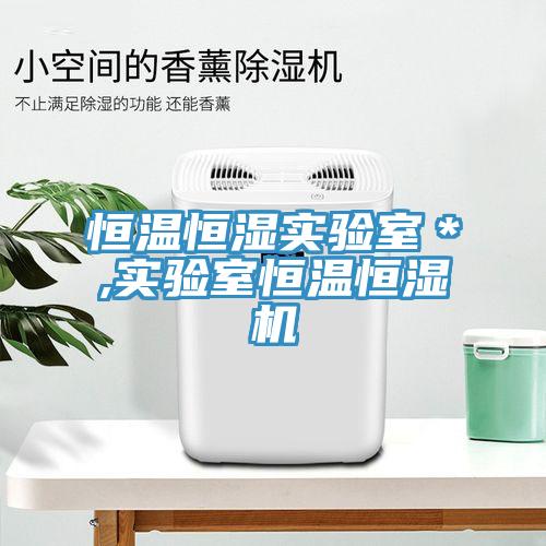 恒溫恒濕實驗室＊,實驗室恒溫恒濕機(jī)