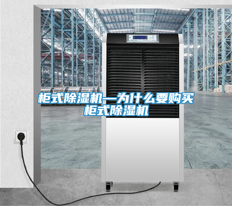 柜式除濕機(jī)—為什么要購買柜式除濕機(jī)