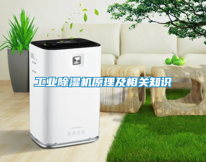 工業(yè)除濕機原理及相關(guān)知識