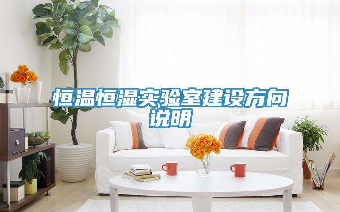 恒溫恒濕實驗室建設方向說明