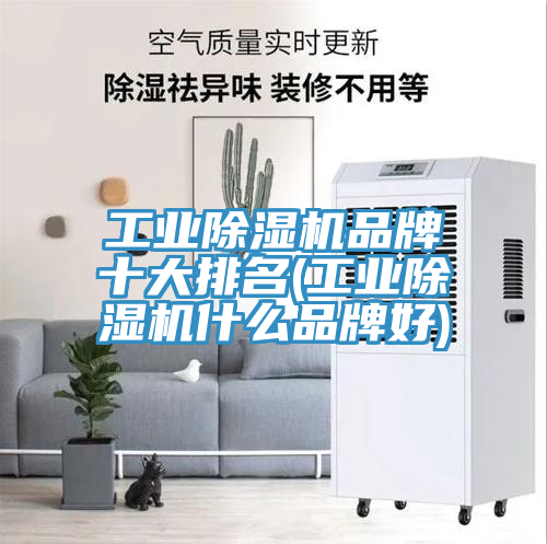 工業(yè)除濕機品牌十大排名(工業(yè)除濕機什么品牌好)