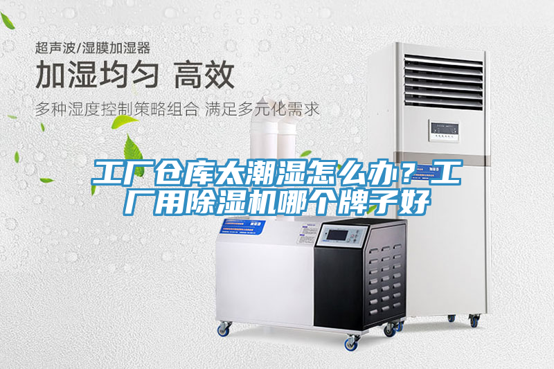 工廠倉(cāng)庫(kù)太潮濕怎么辦？工廠用除濕機(jī)哪個(gè)牌子好