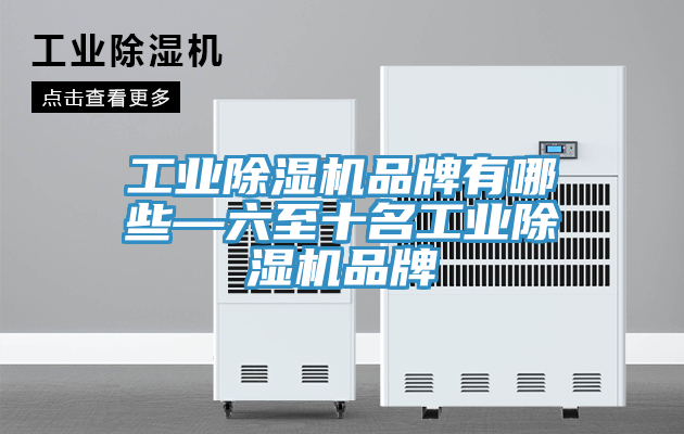 工業(yè)除濕機(jī)品牌有哪些—六至十名工業(yè)除濕機(jī)品牌