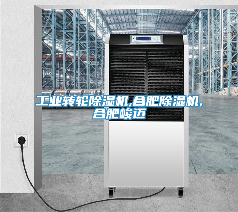 工業(yè)轉(zhuǎn)輪除濕機,合肥除濕機,合肥峻邁