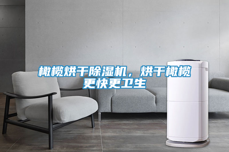 橄欖烘干除濕機，烘干橄欖更快更衛(wèi)生