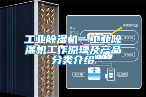 工業(yè)除濕機—工業(yè)除濕機工作原理及產(chǎn)品分類介紹