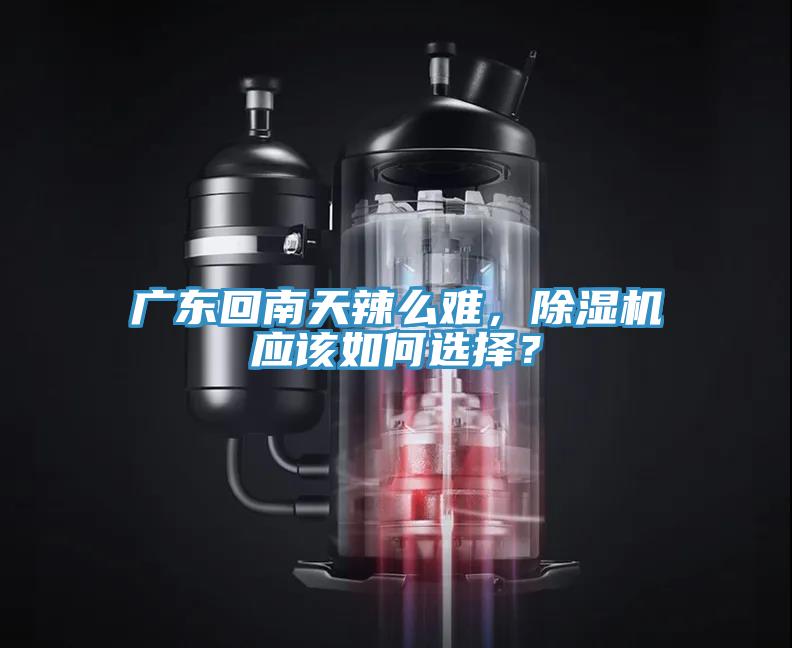廣東回南天辣么難，除濕機應(yīng)該如何選擇？