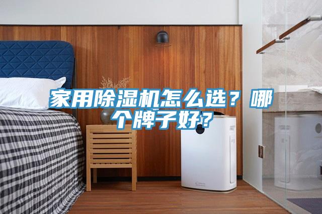家用除濕機怎么選？哪個牌子好？