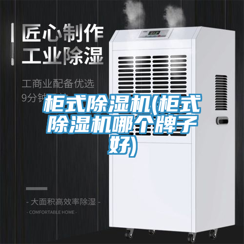 柜式除濕機(jī)(柜式除濕機(jī)哪個(gè)牌子好)