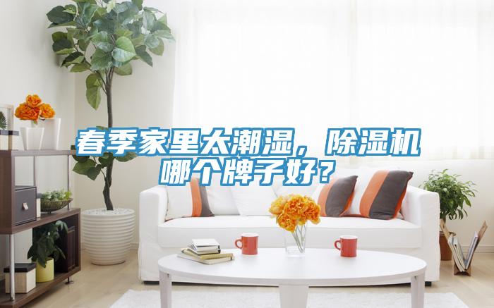 春季家里太潮濕，除濕機(jī)哪個(gè)牌子好？