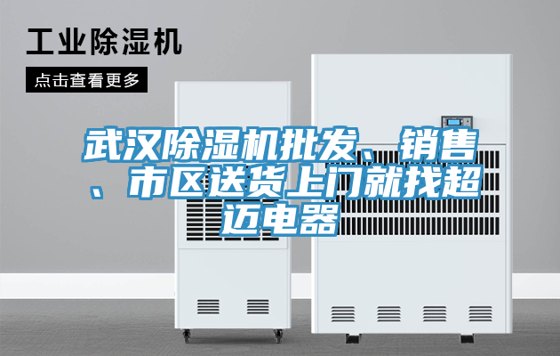 武漢除濕機批發(fā)、銷售、市區(qū)送貨上門就找超邁電器