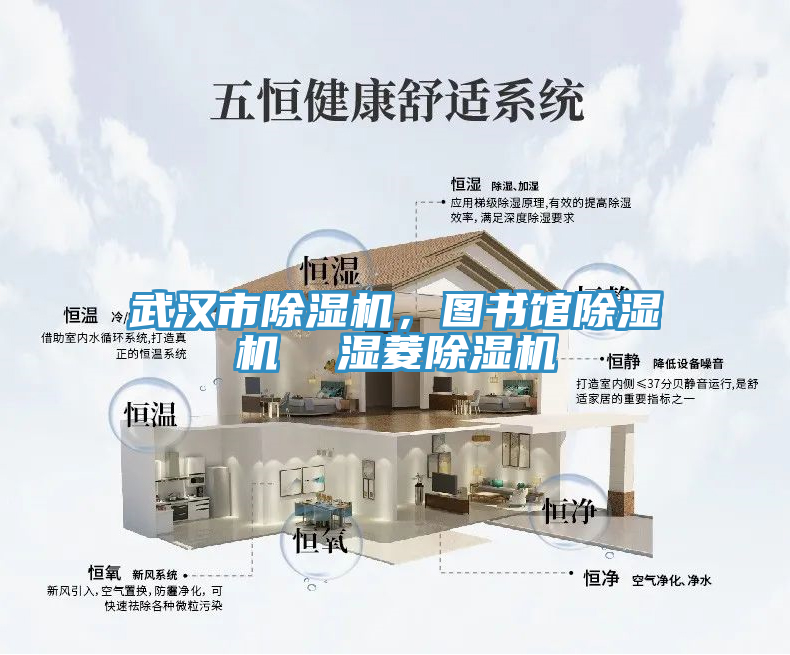 武漢市除濕機，圖書館除濕機  濕菱除濕機