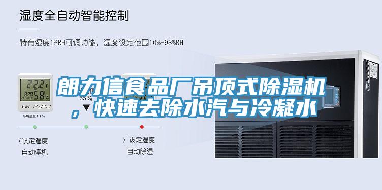朗力信食品廠吊頂式除濕機(jī)，快速去除水汽與冷凝水