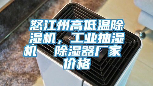 怒江州高低溫除濕機(jī)，工業(yè)抽濕機(jī)  除濕器廠家 價(jià)格