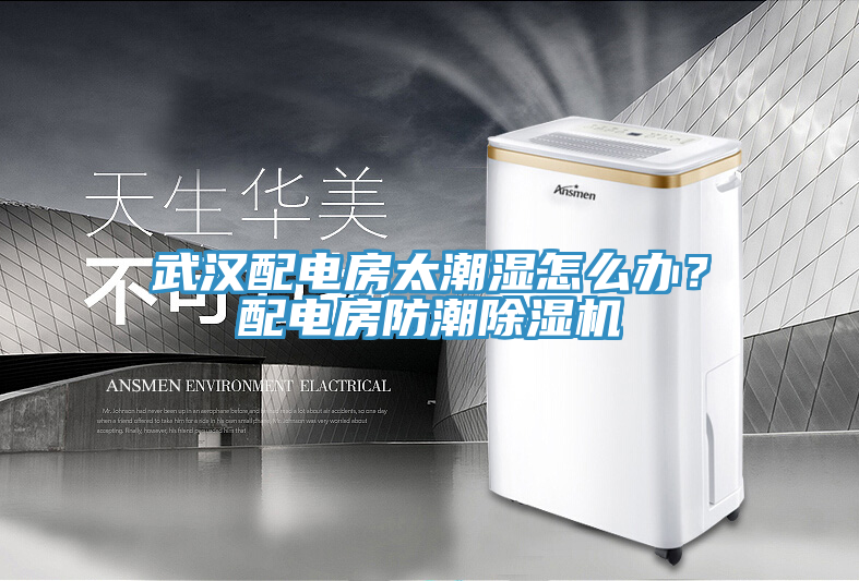 武漢配電房太潮濕怎么辦？配電房防潮除濕機