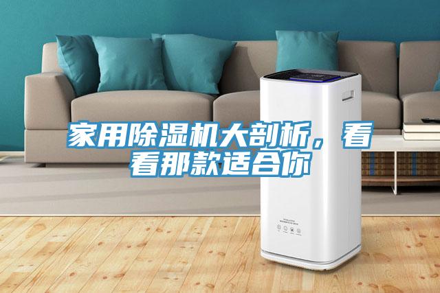 家用除濕機大剖析，看看那款適合你