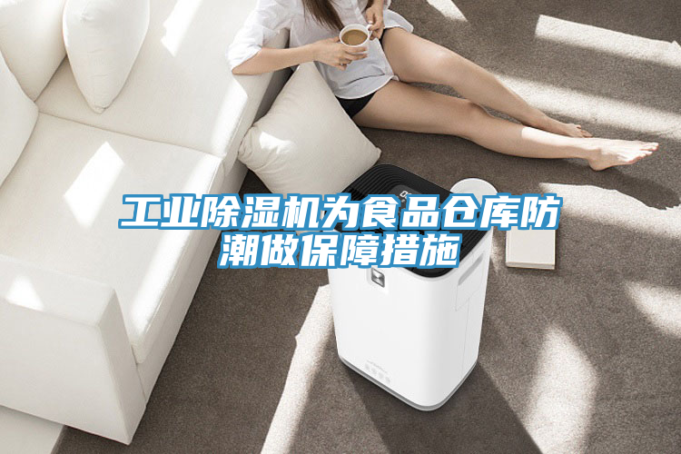 工業(yè)除濕機(jī)為食品倉(cāng)庫(kù)防潮做保障措施