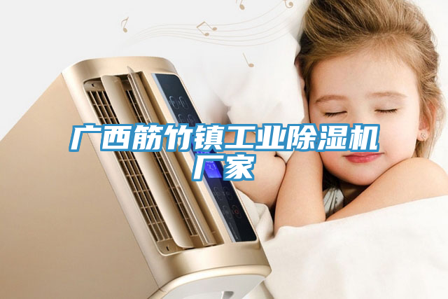 廣西筋竹鎮(zhèn)工業(yè)除濕機廠家