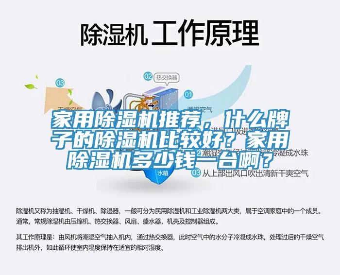 家用除濕機(jī)推薦，什么牌子的除濕機(jī)比較好？家用除濕機(jī)多少錢一臺(tái)??？