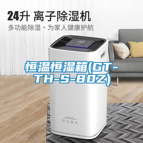 恒溫恒濕箱(GT-TH-S-80Z)
