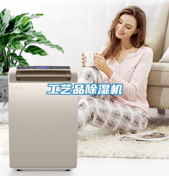 工藝品除濕機