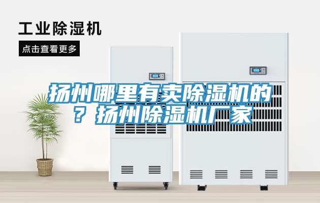 揚州哪里有賣除濕機的？揚州除濕機廠家