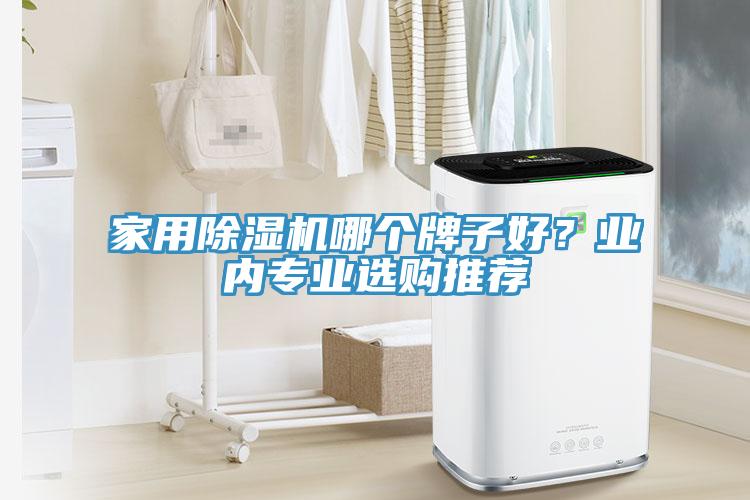 家用除濕機(jī)哪個(gè)牌子好？業(yè)內(nèi)專業(yè)選購(gòu)?fù)扑]