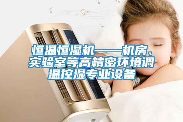 恒溫恒濕機——機房、實驗室等高精密環(huán)境調(diào)溫控濕專業(yè)設備