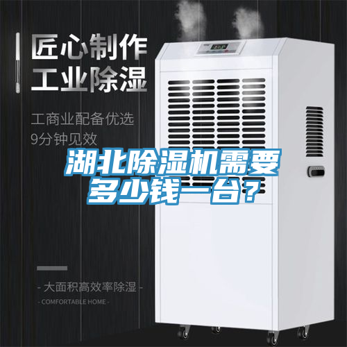湖北除濕機(jī)需要多少錢一臺(tái)？