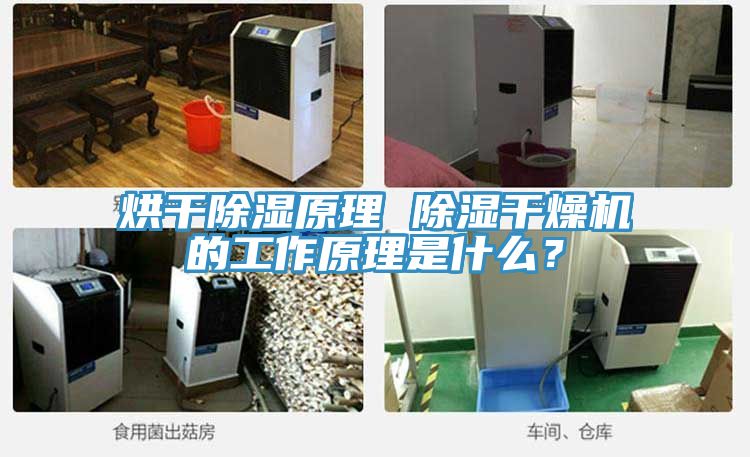 烘干除濕原理 除濕干燥機的工作原理是什么？