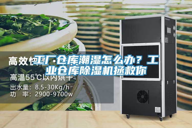 工廠倉庫潮濕怎么辦？工業(yè)倉庫除濕機(jī)拯救你