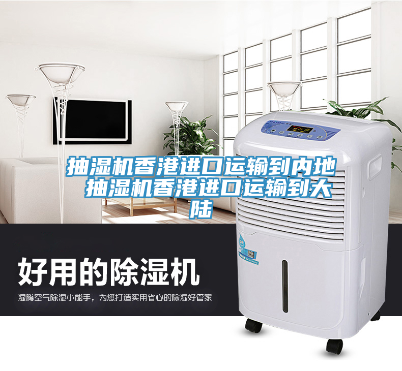抽濕機香港進口運輸?shù)絻?nèi)地 抽濕機香港進口運輸?shù)酱箨?></div>
								<div   id=