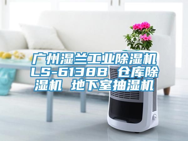 廣州濕蘭工業(yè)除濕機LS-6138B 倉庫除濕機 地下室抽濕機