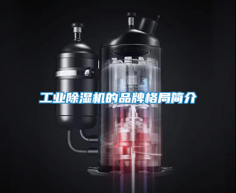 工業(yè)除濕機(jī)的品牌格局簡(jiǎn)介