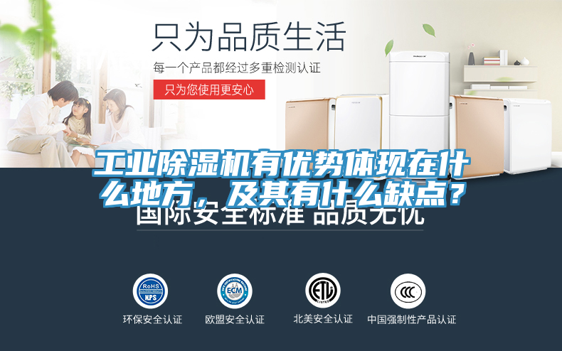 工業(yè)除濕機(jī)有優(yōu)勢體現(xiàn)在什么地方，及其有什么缺點？