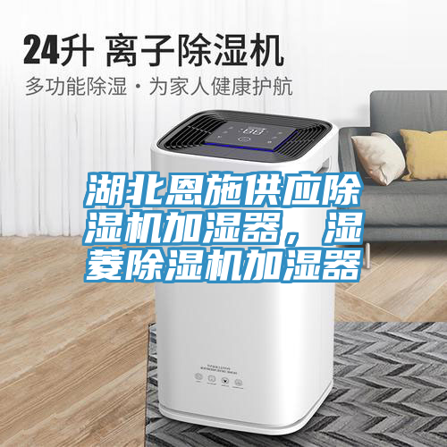 湖北恩施供應(yīng)除濕機(jī)加濕器，濕菱除濕機(jī)加濕器