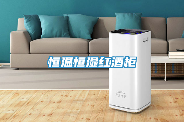 恒溫恒濕紅酒柜