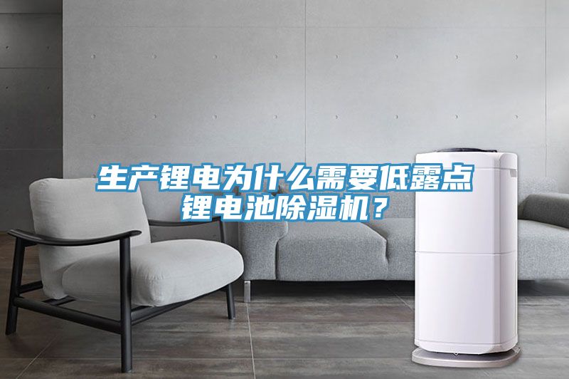 生產(chǎn)鋰電為什么需要低露點鋰電池除濕機？