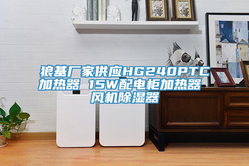 狼基廠家供應(yīng)HG240PTC加熱器 15W配電柜加熱器 風(fēng)機除濕器