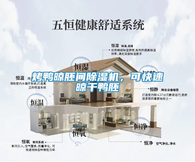 烤鴨晾胚間除濕機(jī)，可快速晾干鴨胚