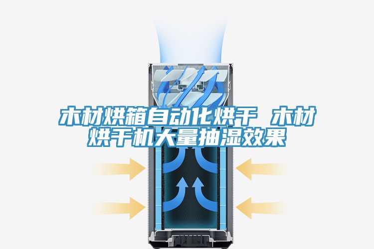 木材烘箱自動(dòng)化烘干 木材烘干機(jī)大量抽濕效果