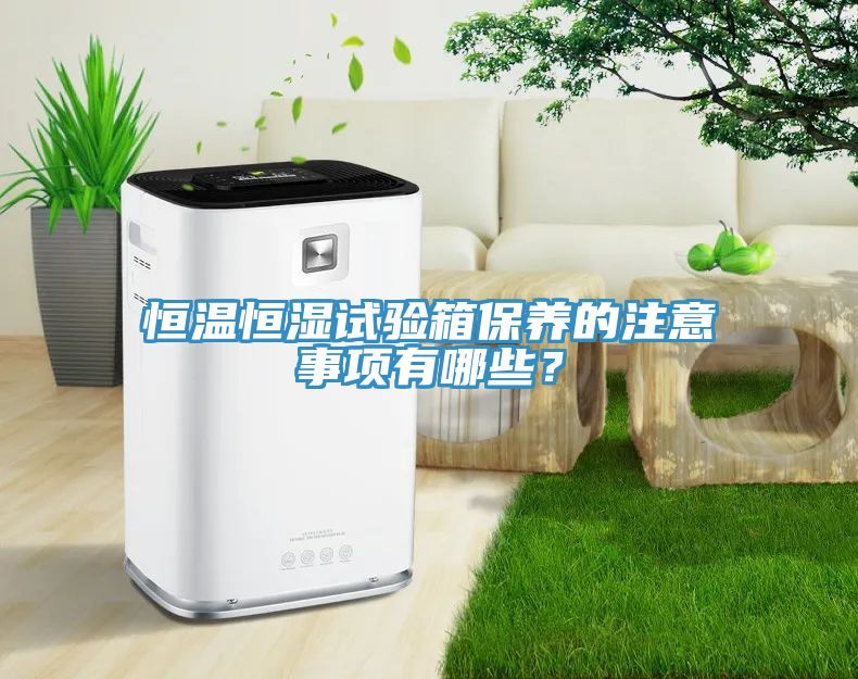 恒溫恒濕試驗(yàn)箱保養(yǎng)的注意事項(xiàng)有哪些？