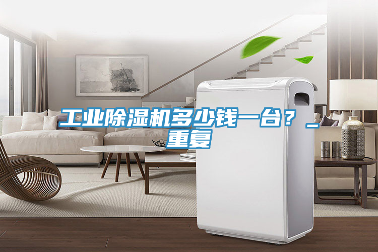 工業(yè)除濕機(jī)多少錢一臺？_重復(fù)
