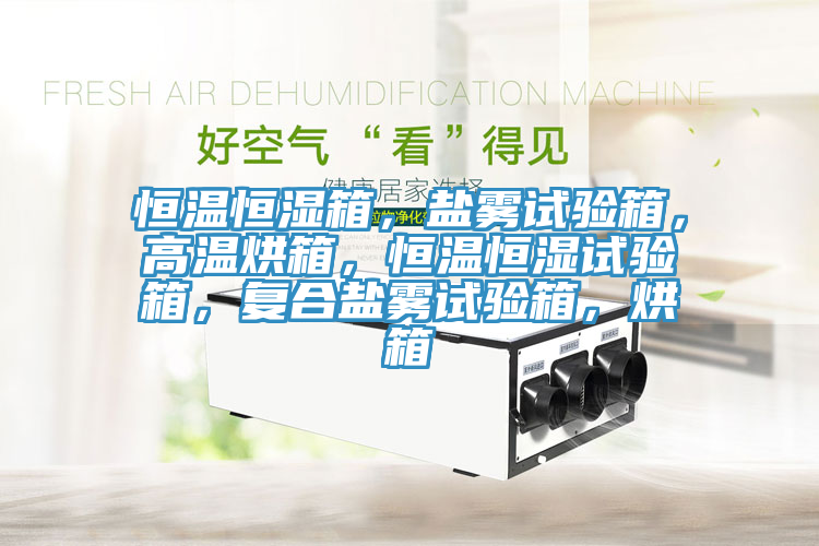 恒溫恒濕箱，鹽霧試驗(yàn)箱，高溫烘箱，恒溫恒濕試驗(yàn)箱，復(fù)合鹽霧試驗(yàn)箱，烘箱