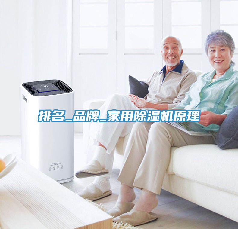 排名_品牌_家用除濕機原理