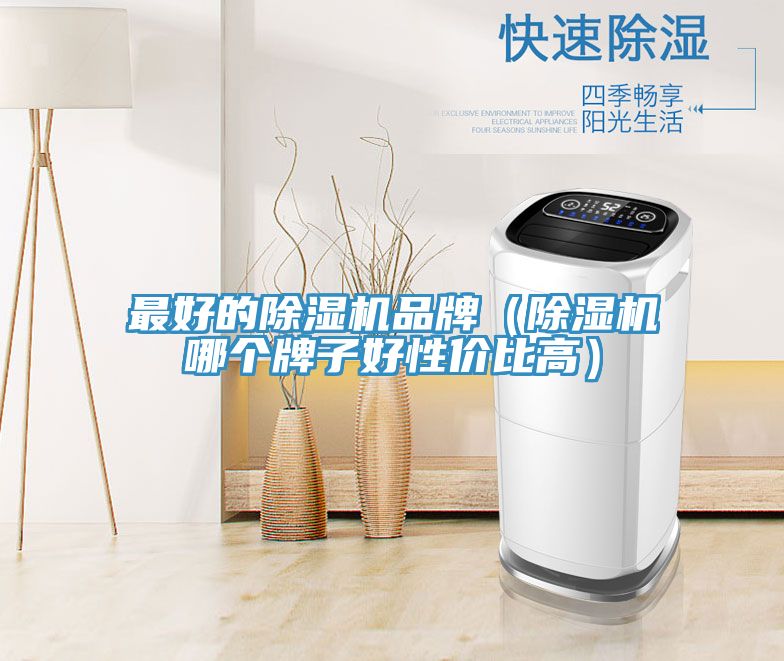 最好的除濕機品牌（除濕機哪個牌子好性價比高）