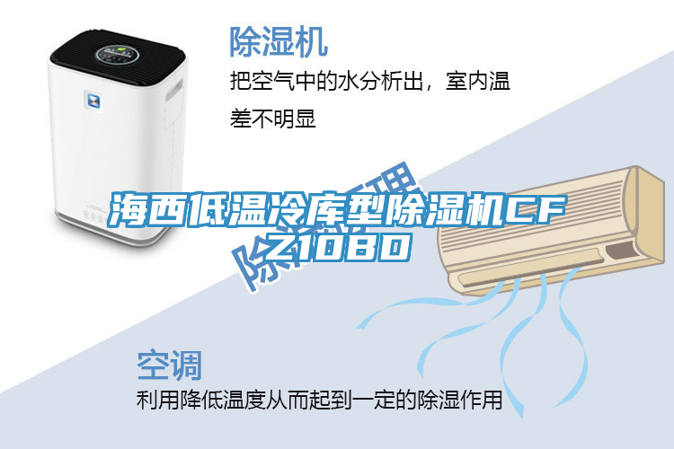 海西低溫冷庫型除濕機(jī)CFZ10BD