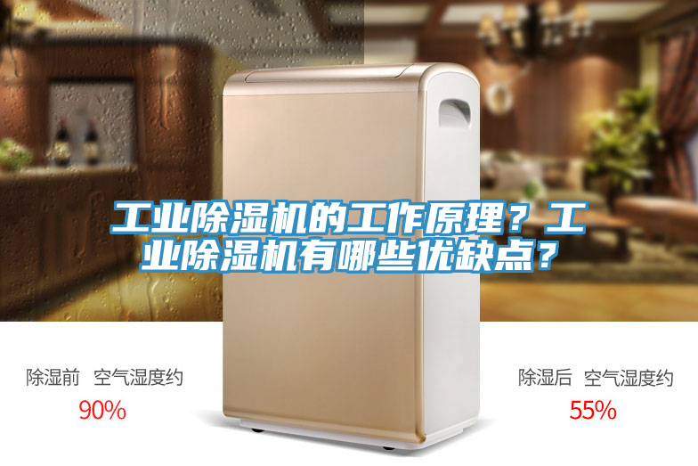 工業(yè)除濕機的工作原理？工業(yè)除濕機有哪些優(yōu)缺點？